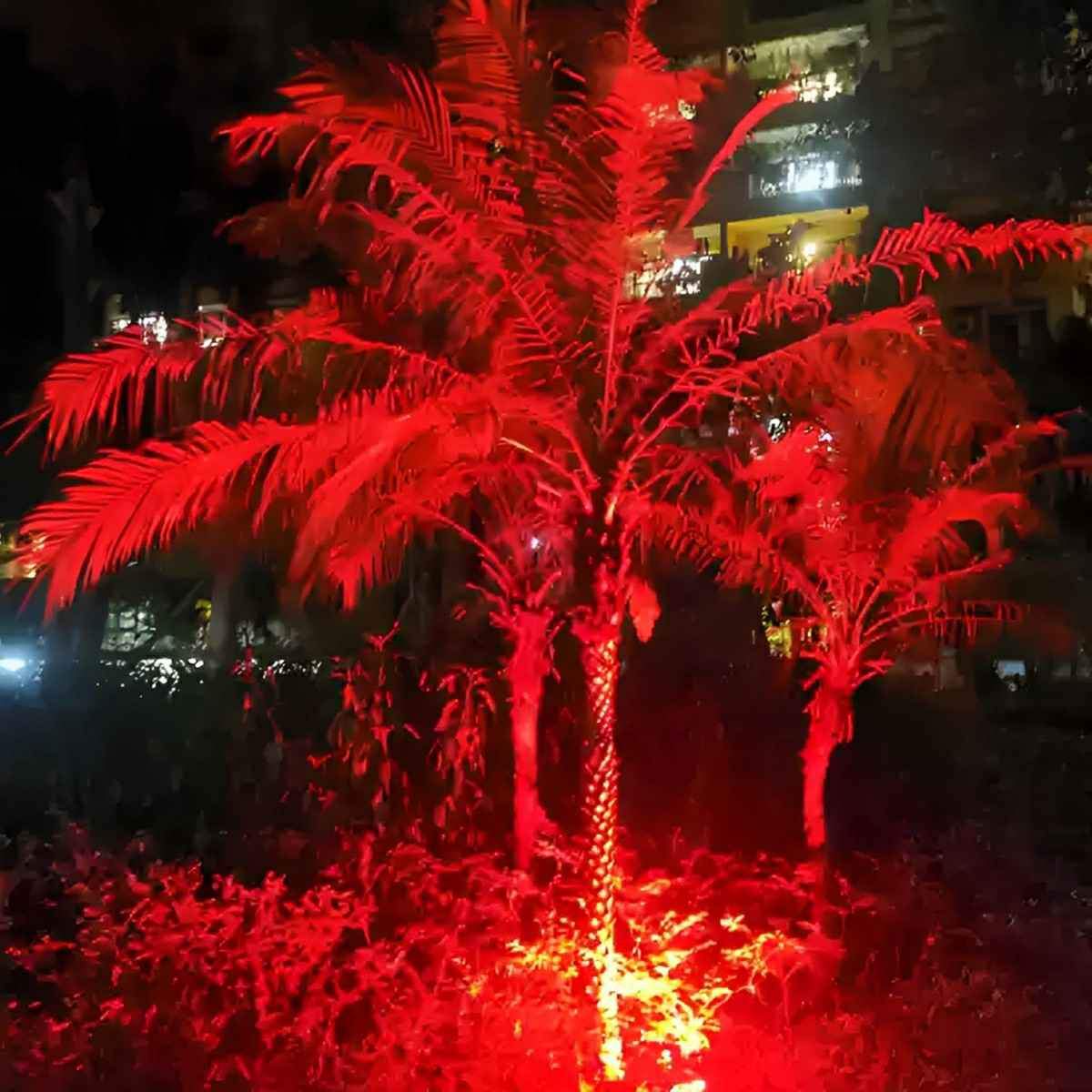 Outdoor RGB Tree Spot Light Waterproof with Remote, Color Landscape Light - Garden Uplighting Spotlight for Yard Patio Wall