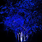 Outdoor RGB Tree Spot Light Waterproof with Remote, Color Landscape Light - Garden Uplighting Spotlight for Yard Patio Wall