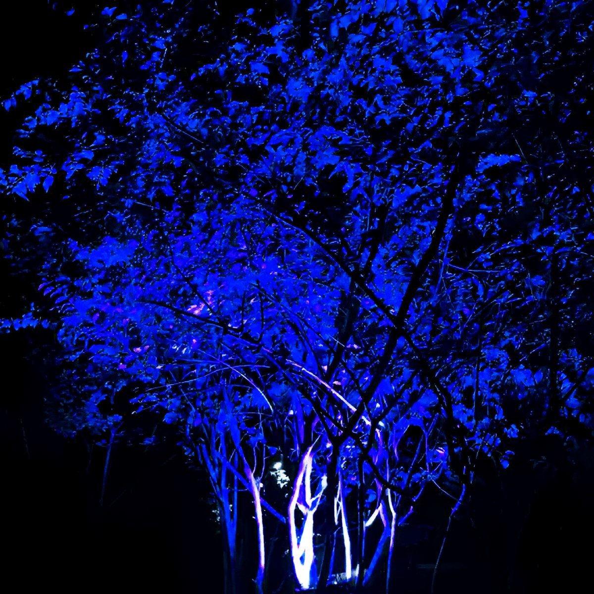 Outdoor RGB Tree Spot Light Waterproof with Remote, Color Landscape Light - Garden Uplighting Spotlight for Yard Patio Wall