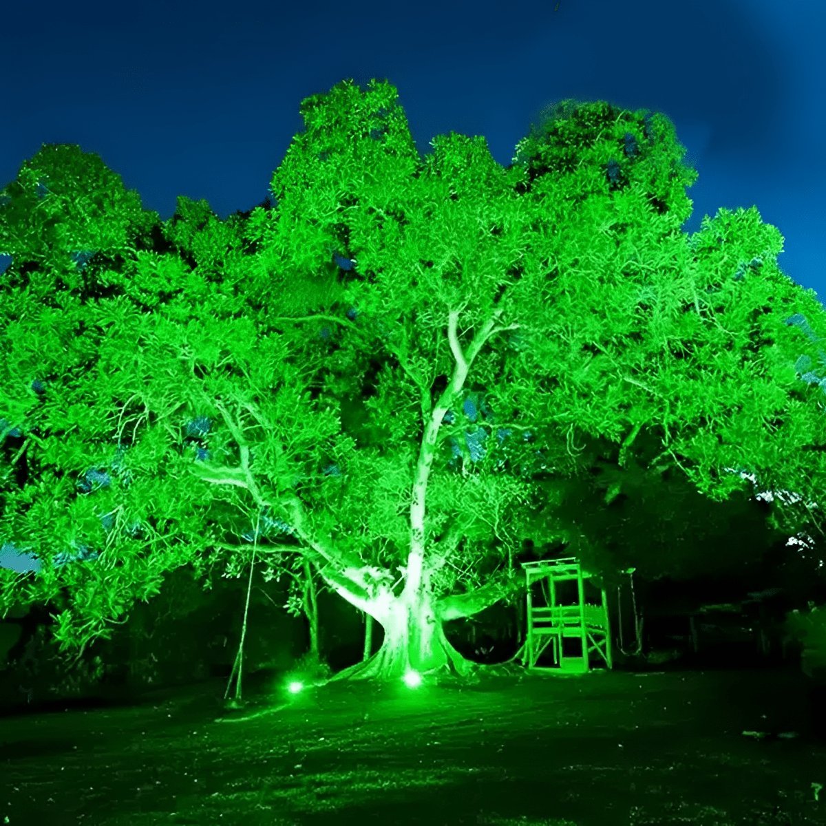 Outdoor RGB Tree Spot Light Waterproof with Remote, Color Landscape Light - Garden Uplighting Spotlight for Yard Patio Wall