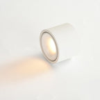 Adjustable Round LED Spotlight Light