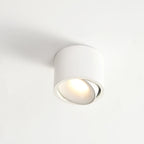 Adjustable Round LED Spotlight Light