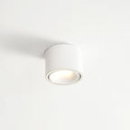 Adjustable Round LED Spotlight Light