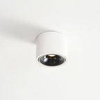 Adjustable Round LED Spotlight Light