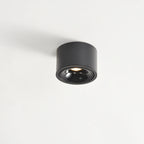 Adjustable Round LED Spotlight Light