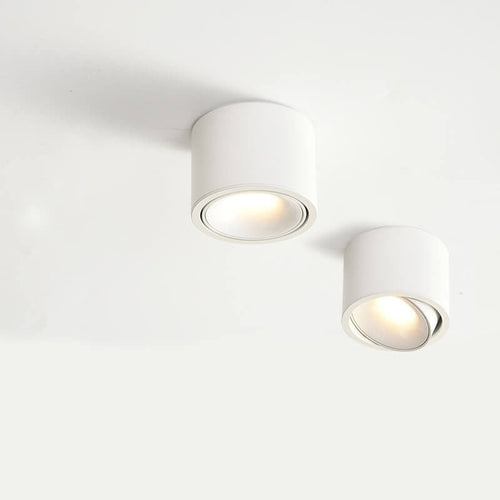 Adjustable Round LED Spotlight Light