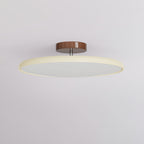 Adjustable Flush Mount Ceiling Light in Colorful Metal and Acrylic Design for Modern Spaces 6
