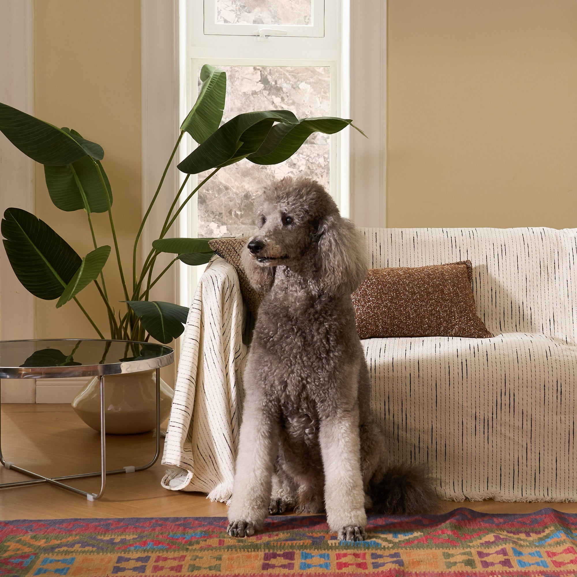 Chenille Sofa Cover – Durable Pet-Friendly Slipcover with Geometric Pattern, Machine Washable Couch Cover for Dogs, Multiple Sizes Available 8