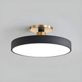 Contemporary LED Ceiling Light Fixture with Round Acrylic Shade 0