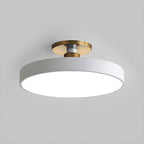 Contemporary LED Ceiling Light Fixture with Round Acrylic Shade 1