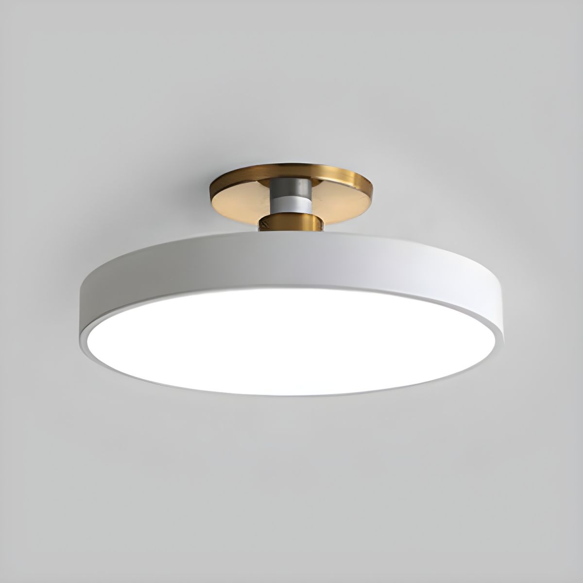 Contemporary LED Ceiling Light Fixture with Round Acrylic Shade 1