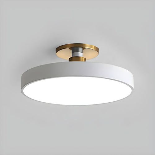 Contemporary LED Ceiling Light Fixture with Round Acrylic Shade 1