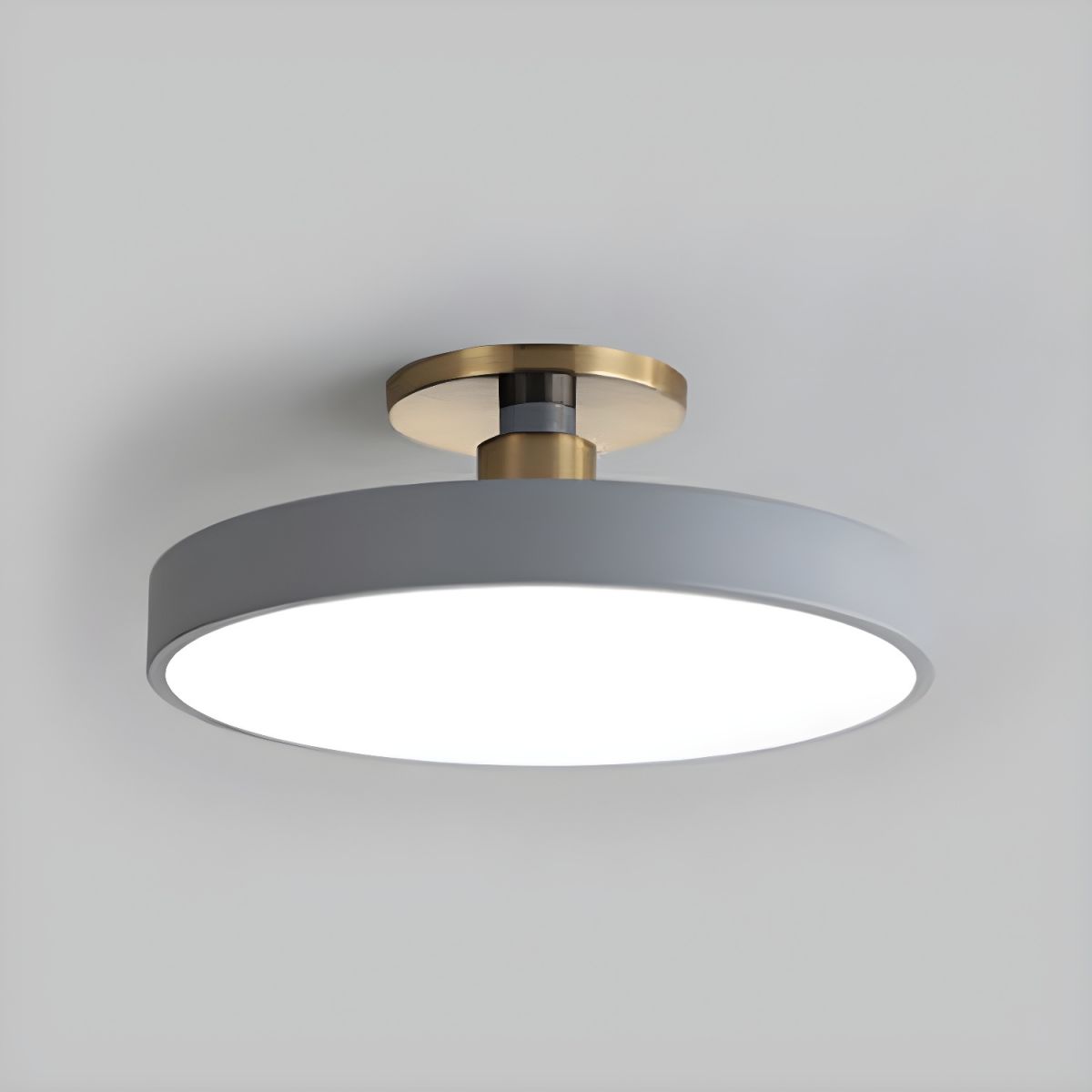 Contemporary LED Ceiling Light Fixture with Round Acrylic Shade 3