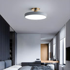 Contemporary LED Ceiling Light Fixture with Round Acrylic Shade 4