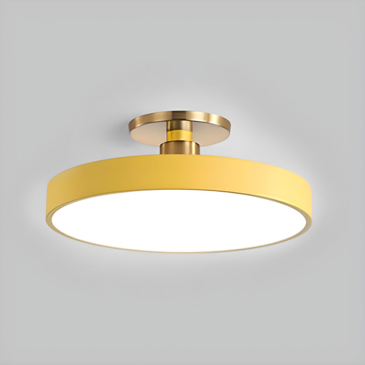 Contemporary LED Ceiling Light Fixture with Round Acrylic Shade 5