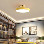 Contemporary LED Ceiling Light Fixture with Round Acrylic Shade 6