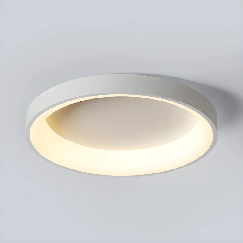 Flush Mount Ceiling Light Fixture with Adjustable Colour Temperature and Acrylic Diffuser 0