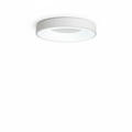 Flush Mount Ceiling Light Fixture with Metal Frame and LED Design 0