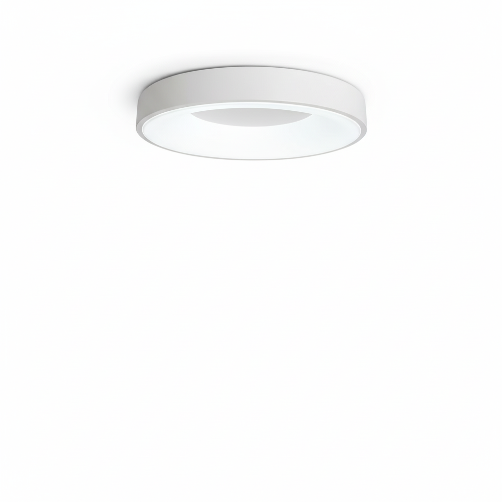 Flush Mount Ceiling Light Fixture with Metal Frame and LED Design 0