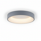 Flush Mount Ceiling Light Fixture with Metal Frame and LED Design 1