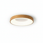 Flush Mount Ceiling Light Fixture with Metal Frame and LED Design 2