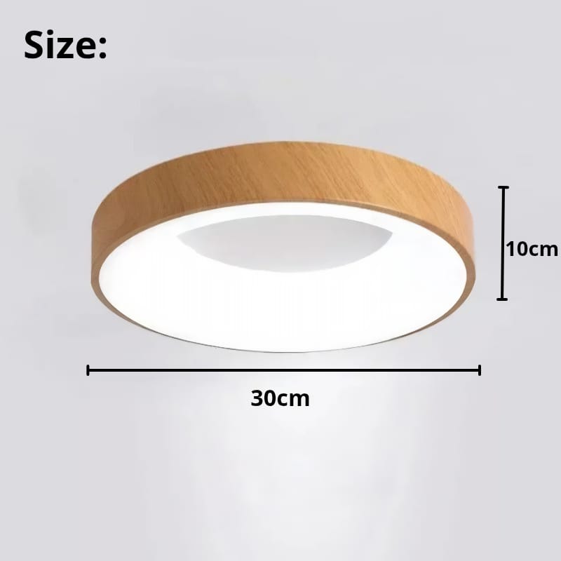 Flush Mount Ceiling Light Fixture with Metal Frame and LED Design 3