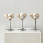 Marina Glassware with Natural Shell Stem – Elegant Drinking Glasses for Cocktails and Champagne 1