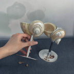 Marina Glassware with Natural Shell Stem – Elegant Drinking Glasses for Cocktails and Champagne 9