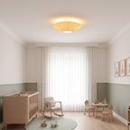 Modern Flush Mount Ceiling Light Fixture with Adjustable Brightness in White and Silver 7