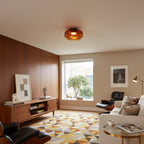 Modern LED Ceiling Light Fixture with Adjustable Brightness and Glass Design 5