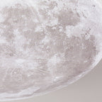 Moon Round LED Flush Mount Light
