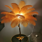 Nordic Floor Lamp with Ostrich Feather Shade for Living Room Ambiance 12