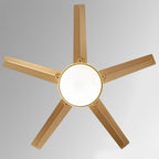 Stainless Steel Ceiling Fan with Remote, 6-Speed Reverse DC Motor - Modern Minimalist Indoor Cooling Fan for Living Room Bedroom