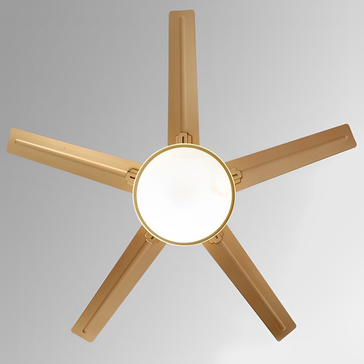 Stainless Steel Ceiling Fan with Remote, 6-Speed Reverse DC Motor - Modern Minimalist Indoor Cooling Fan for Living Room Bedroom