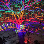 Outdoor RGB LED Spotlight Waterproof, Rainbow Color Landscape Light - Garden Tree Uplight Spot Lighting for Yard Patio Facade