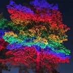 Outdoor RGB LED Spotlight Waterproof, Rainbow Color Landscape Light - Garden Tree Uplight Spot Lighting for Yard Patio Facade