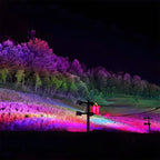 Outdoor RGB LED Spot Light Waterproof, Color Changing Landscape Light - Garden Tree Uplighting Spotlight for Yard Patio Wall