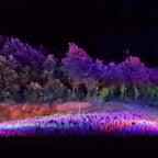 Outdoor RGB LED Spot Light Waterproof, Color Changing Landscape Light - Garden Tree Uplighting Spotlight for Yard Patio Wall